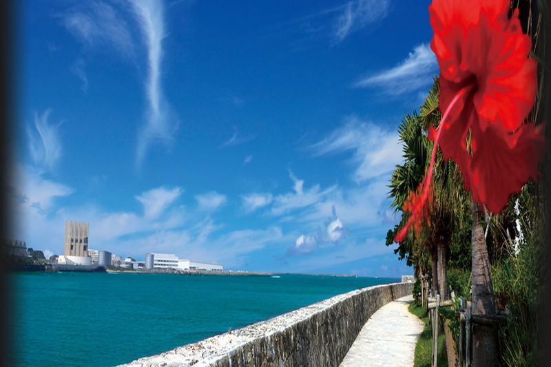 Loisir Spa Tower Naha Hotel Exterior foto